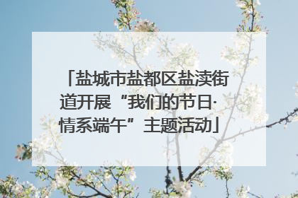 盐城市盐都区盐渎街道开展“我们的节日·情系端午”主题活动