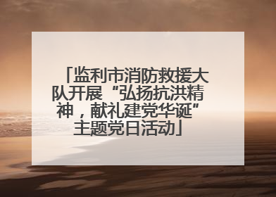 监利市消防救援大队开展“弘扬抗洪精神，献礼建党华诞”主题党日活动