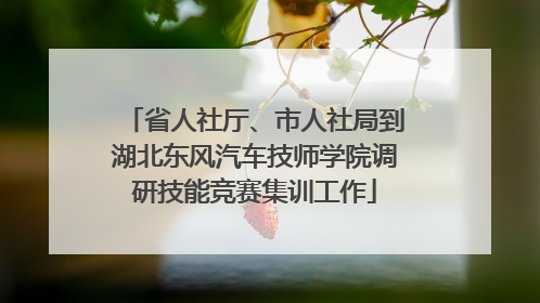 省人社厅、市人社局到湖北东风汽车技师学院调研技能竞赛集训工作