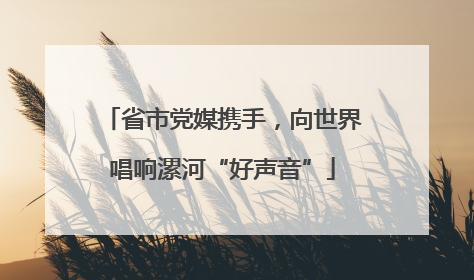 省市党媒携手，向世界唱响漯河“好声音”