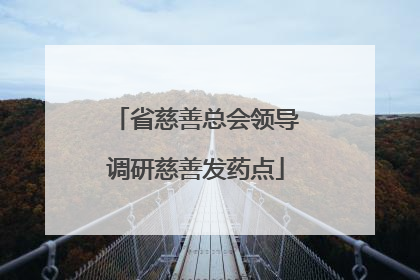 省慈善总会领导调研慈善发药点