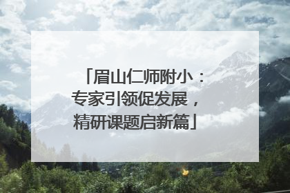 眉山仁师附小：专家引领促发展，精研课题启新篇