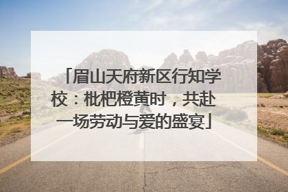 眉山天府新区行知学校：枇杷橙黄时，共赴一场劳动与爱的盛宴