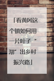 看黄冈这个镇如何用一片叶子“沏”出乡村振兴路