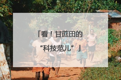 看！甘蔗田的“科技范儿”