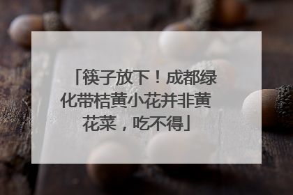筷子放下！成都绿化带桔黄小花并非黄花菜，吃不得