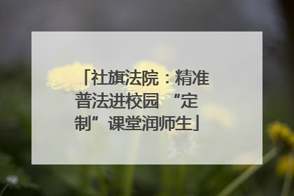 社旗法院：精准普法进校园 “定制”课堂润师生