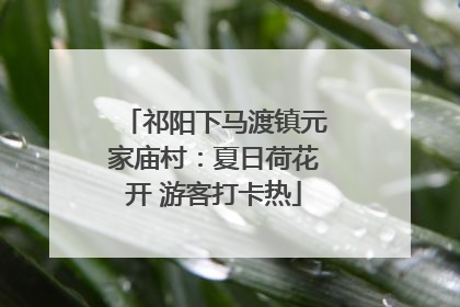 祁阳下马渡镇元家庙村：夏日荷花开 游客打卡热