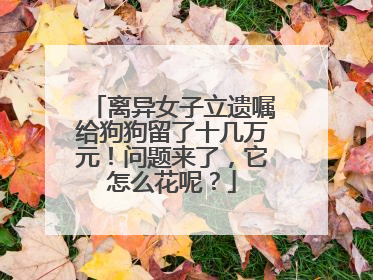离异女子立遗嘱给狗狗留了十几万元！问题来了，它怎么花呢？