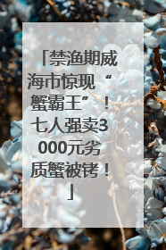 禁渔期威海市惊现“蟹霸王”！七人强卖3000元劣质蟹被铐！
