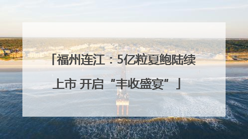 福州连江：5亿粒夏鲍陆续上市 开启“丰收盛宴”