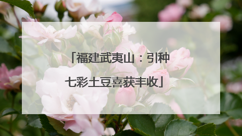 福建武夷山：引种七彩土豆喜获丰收