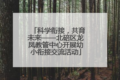 科学衔接，共育未来——北碚区龙凤教管中心开展幼小衔接交流活动