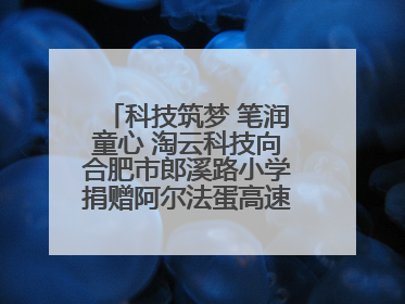 科技筑梦 笔润童心 淘云科技向合肥市郎溪路小学捐赠阿尔法蛋高速词典笔