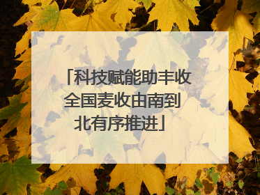 科技赋能助丰收 全国麦收由南到北有序推进