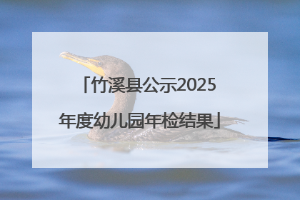 竹溪县公示2025年度幼儿园年检结果