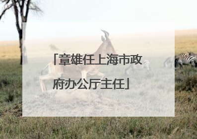 章雄任上海市政府办公厅主任
