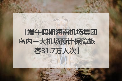 端午假期海南机场集团岛内三大机场预计保障旅客31.7万人次