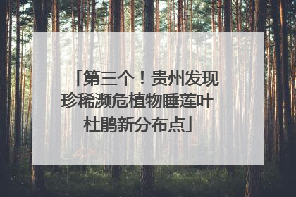 第三个！贵州发现珍稀濒危植物睡莲叶杜鹃新分布点