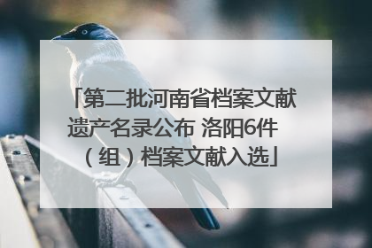 第二批河南省档案文献遗产名录公布 洛阳6件（组）档案文献入选