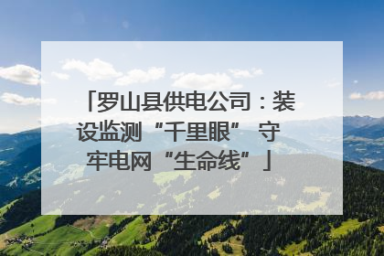 罗山县供电公司：装设监测“千里眼” 守牢电网“生命线”
