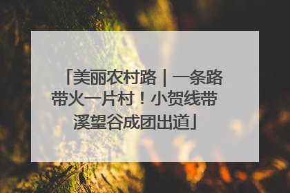 美丽农村路｜一条路带火一片村！小贺线带溪望谷成团出道