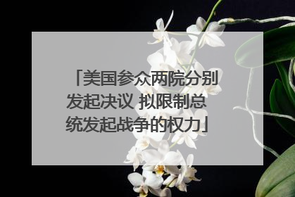 美国参众两院分别发起决议 拟限制总统发起战争的权力