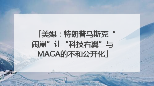美媒：特朗普马斯克“闹崩”让“科技右翼”与MAGA的不和公开化