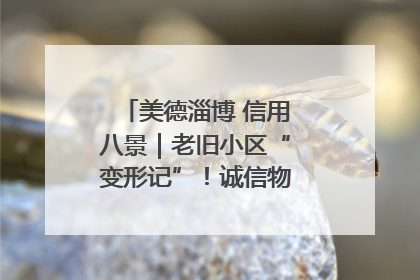 美德淄博 信用八景｜老旧小区“变形记”！诚信物业焐热居民心窝