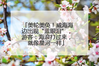 美轮美奂！威海海边出现“蓝眼泪”，游客：海浪打过来，就像星河一样