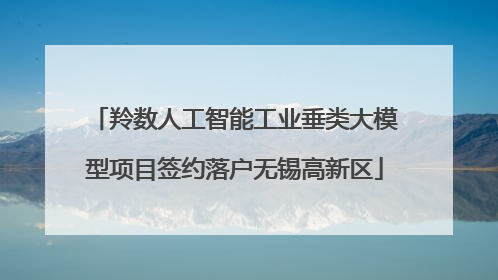 羚数人工智能工业垂类大模型项目签约落户无锡高新区