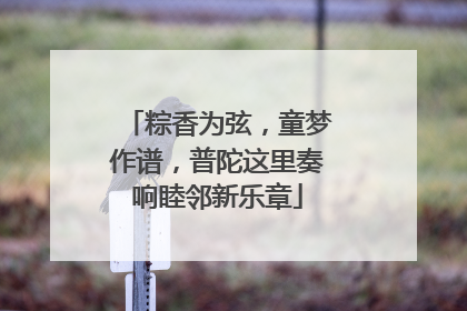 粽香为弦，童梦作谱，普陀这里奏响睦邻新乐章