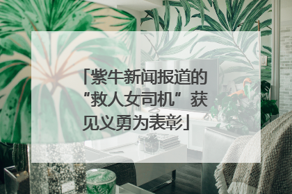 紫牛新闻报道的“救人女司机”获见义勇为表彰
