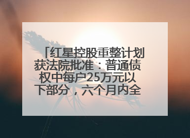 红星控股重整计划获法院批准：普通债权中每户25万元以下部分，六个月内全额现金清偿