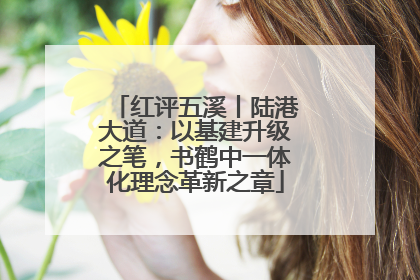 红评五溪丨陆港大道：以基建升级之笔，书鹤中一体化理念革新之章