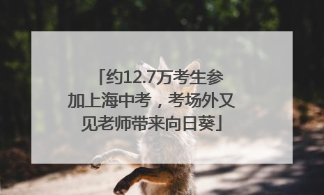约12.7万考生参加上海中考，考场外又见老师带来向日葵