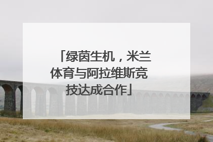 绿茵生机，米兰体育与阿拉维斯竞技达成合作