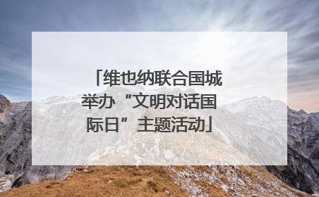 维也纳联合国城举办“文明对话国际日”主题活动