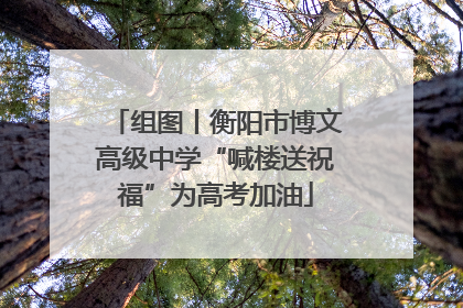 组图丨衡阳市博文高级中学“喊楼送祝福”为高考加油