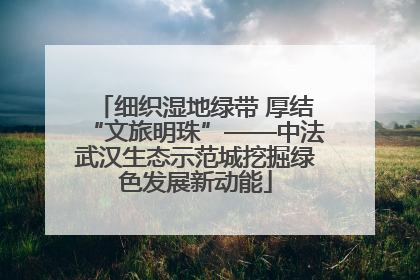细织湿地绿带 厚结“文旅明珠”——中法武汉生态示范城挖掘绿色发展新动能