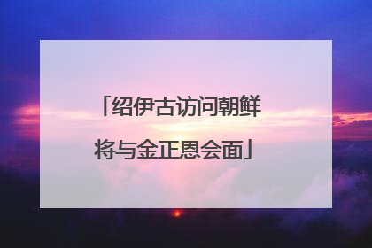 绍伊古访问朝鲜 将与金正恩会面