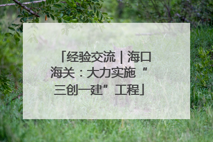 经验交流｜海口海关：大力实施“三创一建”工程