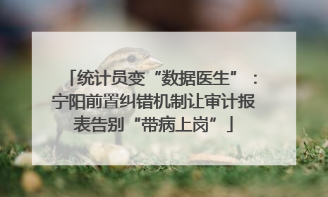统计员变“数据医生”：宁阳前置纠错机制让审计报表告别“带病上岗”