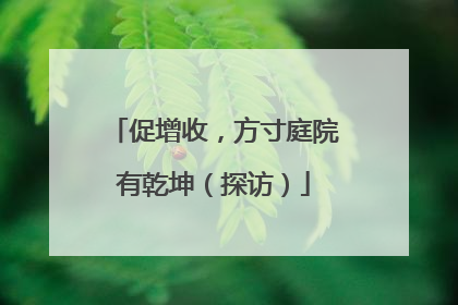 促增收，方寸庭院有乾坤（探访）