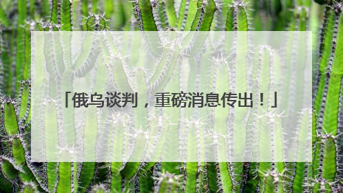 俄乌谈判，重磅消息传出！
