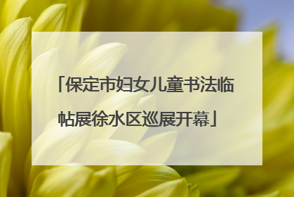 保定市妇女儿童书法临帖展徐水区巡展开幕