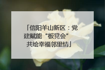 信阳羊山新区：党建赋能“板凳会” 共绘幸福邻里情