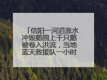 信阳一河道涨水冲毁鹅圈上千只鹅被卷入洪流，当地蓝天救援队一小时赶鹅上岸