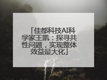 佳都科技AI科学家王凯：探寻共性问题，实现整体效益最大化