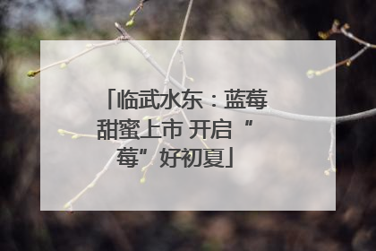 临武水东：蓝莓甜蜜上市 开启“莓”好初夏